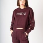 Sudadera Animosa Estrellas color burdeos con logo en el pecho, vista frontal cercana.